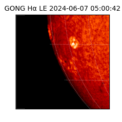 gong - 2024-06-07T05:00:42