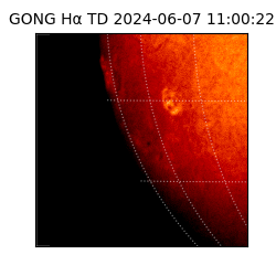 gong - 2024-06-07T11:00:22