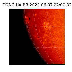 gong - 2024-06-07T22:00:02