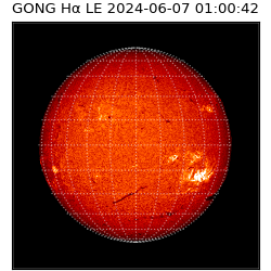 gong - 2024-06-07T01:00:42