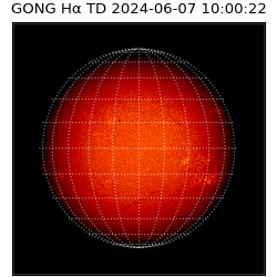 gong - 2024-06-07T10:00:22