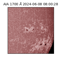 saia - 2024-06-08T08:00:28.720000