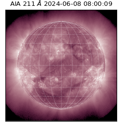 saia - 2024-06-08T08:00:09.632000