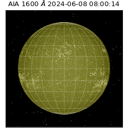 saia - 2024-06-08T08:00:14.129000