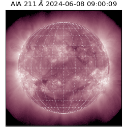 saia - 2024-06-08T09:00:09.626000