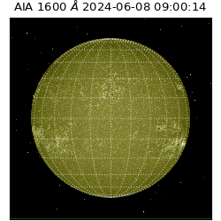 saia - 2024-06-08T09:00:14.125000