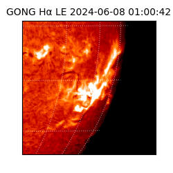 gong - 2024-06-08T01:00:42
