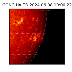 gong - 2024-06-08T10:00:22