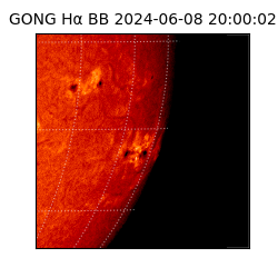 gong - 2024-06-08T20:00:02