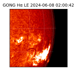 gong - 2024-06-08T02:00:42