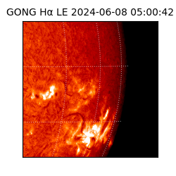 gong - 2024-06-08T05:00:42