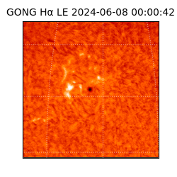gong - 2024-06-08T00:00:42