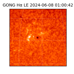 gong - 2024-06-08T01:00:42