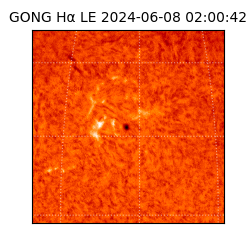 gong - 2024-06-08T02:00:42