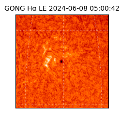 gong - 2024-06-08T05:00:42