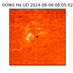 gong - 2024-06-08T08:05:02