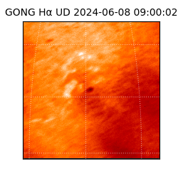 gong - 2024-06-08T09:00:02