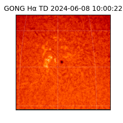 gong - 2024-06-08T10:00:22