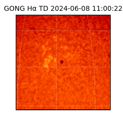 gong - 2024-06-08T11:00:22