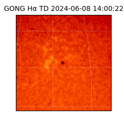 gong - 2024-06-08T14:00:22