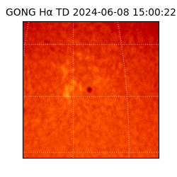gong - 2024-06-08T15:00:22