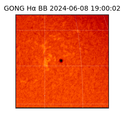 gong - 2024-06-08T19:00:02