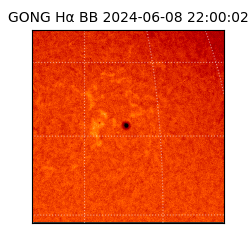 gong - 2024-06-08T22:00:02