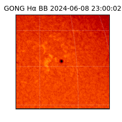 gong - 2024-06-08T23:00:02