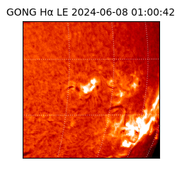 gong - 2024-06-08T01:00:42