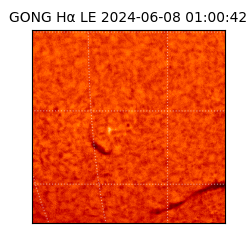 gong - 2024-06-08T01:00:42