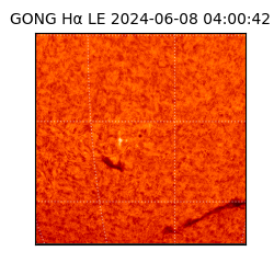 gong - 2024-06-08T04:00:42