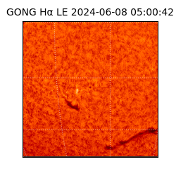 gong - 2024-06-08T05:00:42