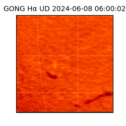 gong - 2024-06-08T06:00:02