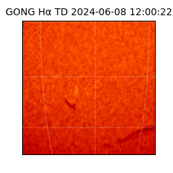 gong - 2024-06-08T12:00:22