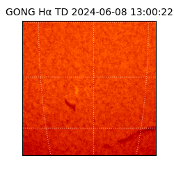 gong - 2024-06-08T13:00:22