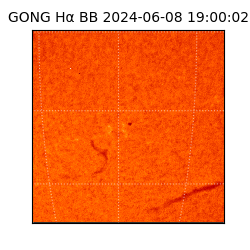 gong - 2024-06-08T19:00:02