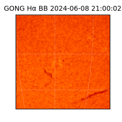 gong - 2024-06-08T21:00:02