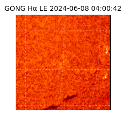 gong - 2024-06-08T04:00:42