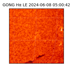 gong - 2024-06-08T05:00:42