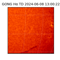 gong - 2024-06-08T13:00:22