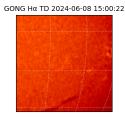gong - 2024-06-08T15:00:22