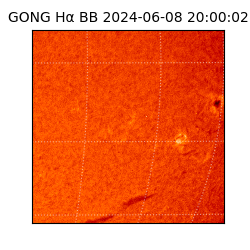 gong - 2024-06-08T20:00:02