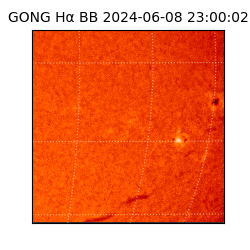 gong - 2024-06-08T23:00:02