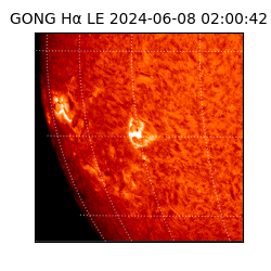 gong - 2024-06-08T02:00:42