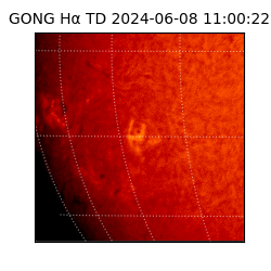 gong - 2024-06-08T11:00:22