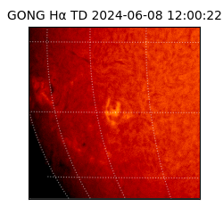gong - 2024-06-08T12:00:22