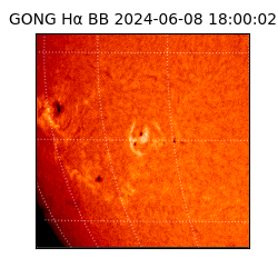 gong - 2024-06-08T18:00:02