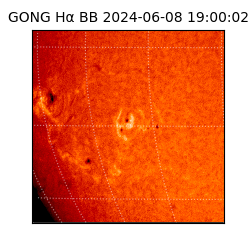 gong - 2024-06-08T19:00:02