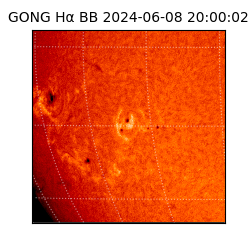 gong - 2024-06-08T20:00:02