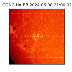 gong - 2024-06-08T21:00:02